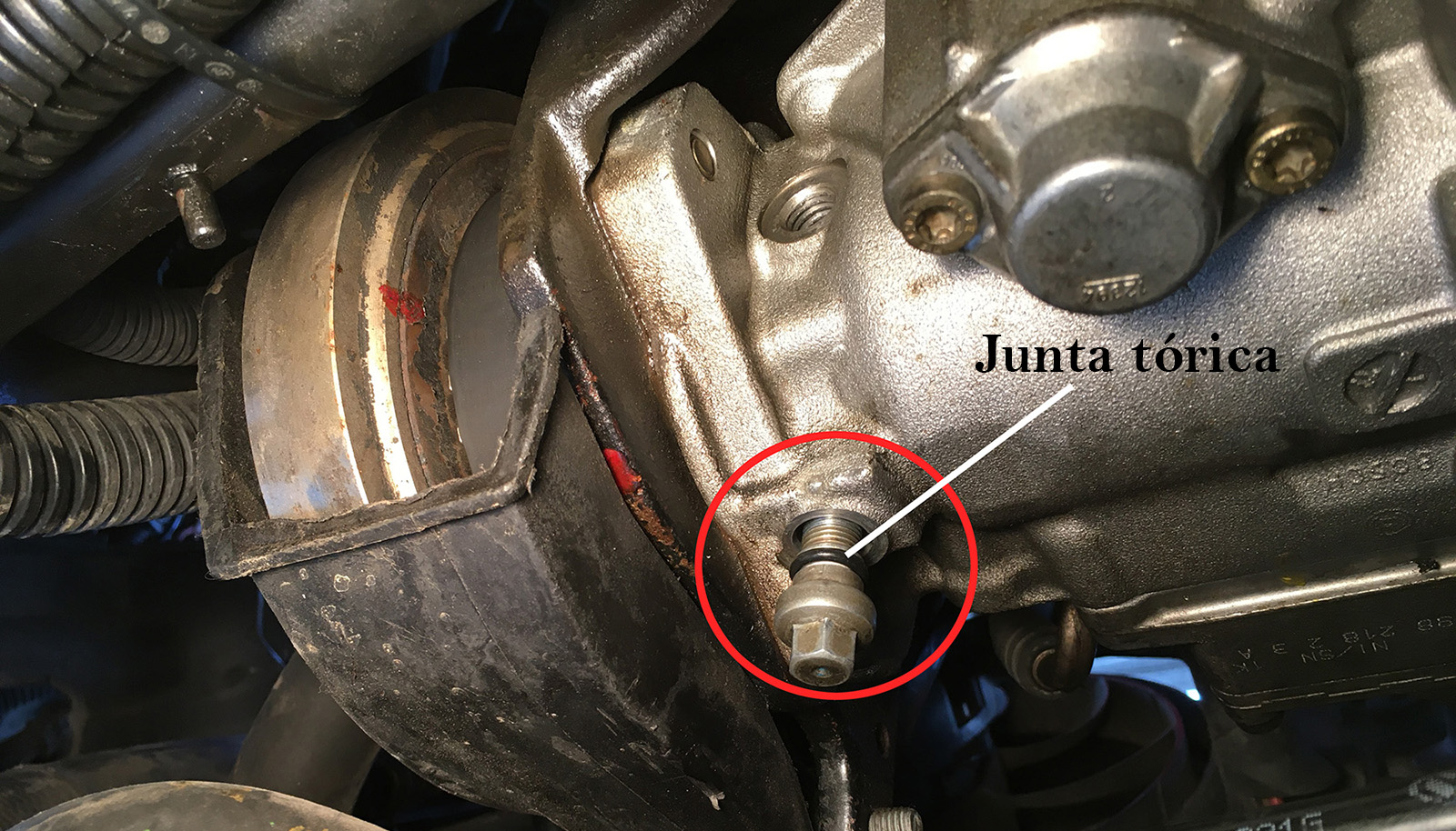 Solución para la pérdida de gasoil en la parte delantera de mi coche